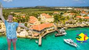 Buddy Dive Resort Bonaire Tour: The Blue Horizon Diving Tour