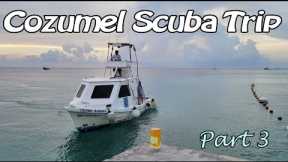 Cozumel Scuba Trip - Part 3 | Last dives and Final Thoughts