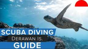 Scuba Diving Derawan Islands Guide w/  @AggressorAdventures   #scuba #indonesia