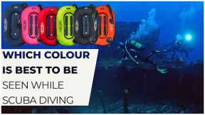 Which Colours are Best for Scuba Diving? #scuba #colour