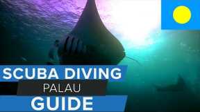 Scuba Diving Palau Travel Guide w/ @AggressorAdventures