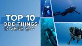 Top10 Odd Things Scuba Divers Say #scuba #top10