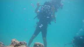 Andaman trip Part-1 | Scuba diving | Havelock Island #andaman #scubadiving #travel #trending #viral