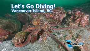 Scuba Diving Vancouver Island July and August 2023 #vancouverisland