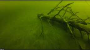 Lake Murray SC Scuba Diving Spence Island cove!
