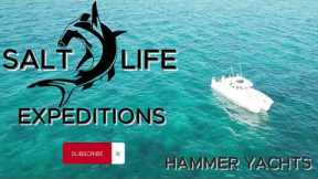 Island Hopping in Style: HammerCat 35 Florida to Bahamas