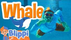 SD Scuba Diving: Underwater LOLs! 🌊🤣| BLIPPI| Kids TV Shows | Cartoons For Kids | Fun Anime