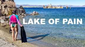 This water will wreck you - Embodying the scuba diving fly at Mono Lake, California