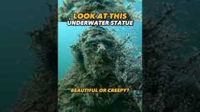 What You Doin If You See This 🤔🤯 #scubadiving #statue #travel #shorts