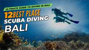 Scuba Diving Bali  - 12 Top Dive Locations