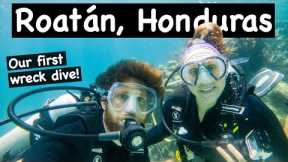 We Spent 1 Week at an UNLIMITED Scuba Diving Resort in Roatan, Honduras! 1st Wreck Diving!