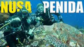 Scuba Diving Nusa Penida The MOST STUNNING Reefs In Bali 🇮🇩