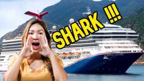 CRUISE NEWS -SHARK ENCOUNTER AT BEACH, CARNIVAL HIKES PRICES