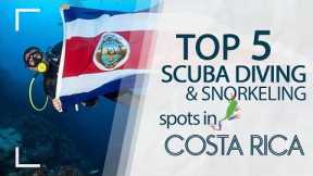 Scuba Diving & Snorkeling in Costa Rica - The Top 5 Best Spots!