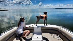 Exploring Lake Harris & Island Hopping | Freedom Boat Club