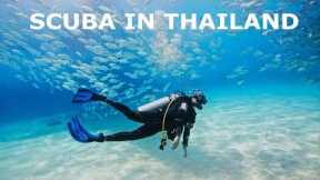 Scuba Diving In Thailand | Scuba In Krabi | Phi phi Island | Thailand Vlog
