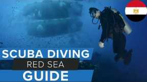 Red Sea Scuba Diving Guide w/ @MasterLiveaboards #scuba #redsea