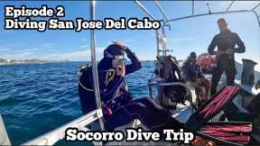 Warmup Dives in San Jose del Cabo | Quino Departure | Socorro Dive Trip Ep 2