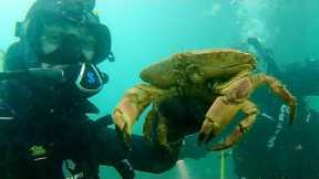 SCUBA Diving for Treasure in the UK! (Treasure Hunting Road Trip PT3)