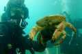 SCUBA Diving for Treasure in the UK!