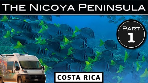 Scuba Diving in the Islas Catalinas | Vanlife Costa Rica