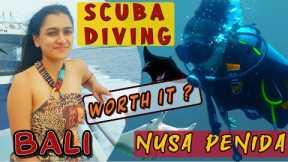 SCUBA DIVING in most BEAUTIFUL ISLAND Nusa Penida 🏖⛵️🛳🤿Bali  Trip Ep 4 |  Best Bali Travel vlog