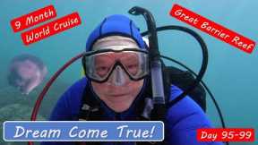 Great Barrier Reef Cairns Australia Snorkeling and Diving