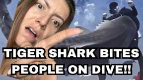 TIGER SHARK BITING DIVERS ON SCUBA DIVE