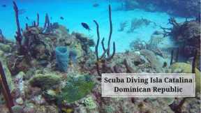 Scuba Dive Isla Catalina | Dominican Republic | Travel