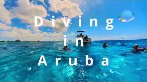 [4K] Scuba Diving in Aruba | Insta 360 x3 | Invisible Dive Case | October 2023
