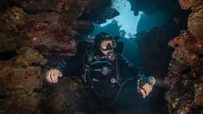 Scuba Diving in Roatan Honduras, what to expect in 2024