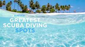The GREATEST Scuba Diving Spots In The World