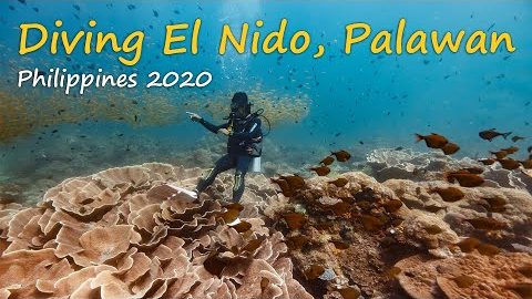 Travel Philippines - Scuba Diving El Nido - Palawan