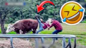 Best Fails of the week : Funniest Fails Compilation | Funny Videos 😂 - Part 25