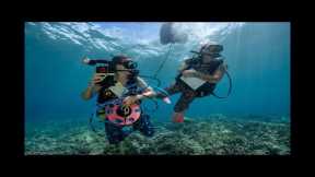 Live UNDERWATER, Scuba Dive- Maui, Hawaii