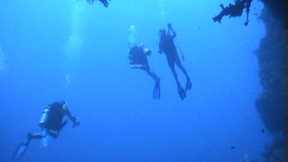Malibu Divers Palau Scuba Diving Trip