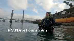 Seattle Scuba Diving Tour Guide  👌 PNW Dive Tours