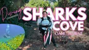 Sharks Cove Shore Dive | Oahu Scuba Diving with April Lauren