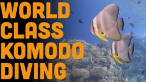 World Class Diving in Komodo National Park