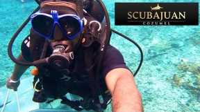 MY BEGINNER SCUBA DIVING LESSONS | NO EXPERIENCE SCUBA DIVING IN MEXICO