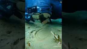 This got 34 million views (Underwater phenomenon!) #nature #scubadiving