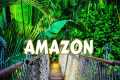 Top 10 Places to discover In Amazon