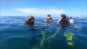 Scuba Diving Over 50 Puerto Vallarta Travel video