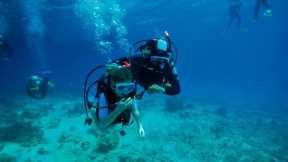 Discover Scuba Diving Mallorca - Skualo Diving