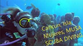 Scuba Diving Cancun Mexico | Isla Mujeres | MUSA Underwater Museum | Covid Travel