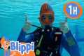 SD Scuba Diving | Blippi | Kids Songs 