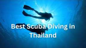 Scuba Diving in Thailand 2024: An Unforgettable Underwater Adventure