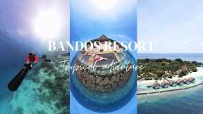 Bandos Resort - Escape to paradise || Resort Tour || Scuba diving || Snorkeling and so much more