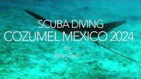 Scuba Diving Cozumel Mexico 2024