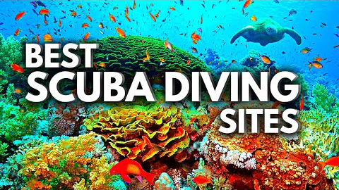 10 BEST Scuba Diving CARIBBEAN Destinations 2023 | Traveling Guide